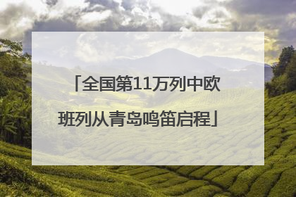 全国第11万列中欧班列从青岛鸣笛启程