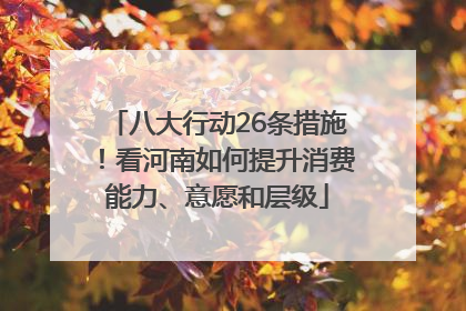 八大行动26条措施！看河南如何提升消费能力、意愿和层级