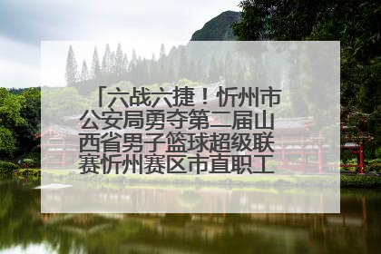 六战六捷！忻州市公安局勇夺第二届山西省男子篮球超级联赛忻州赛区市直职工组比赛冠军
