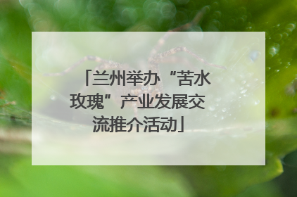 兰州举办“苦水玫瑰”产业发展交流推介活动