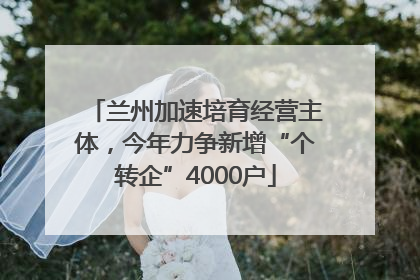 兰州加速培育经营主体，今年力争新增“个转企”4000户