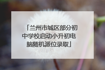兰州市城区部分初中学校启动小升初电脑随机派位录取