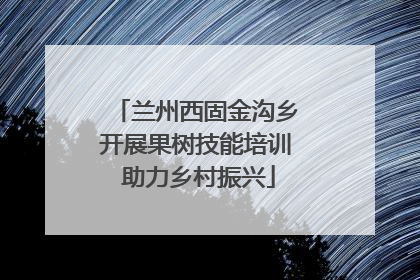 兰州西固金沟乡开展果树技能培训 助力乡村振兴