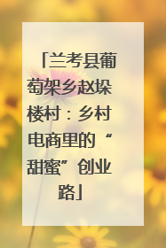 兰考县葡萄架乡赵垛楼村：乡村电商里的“甜蜜”创业路