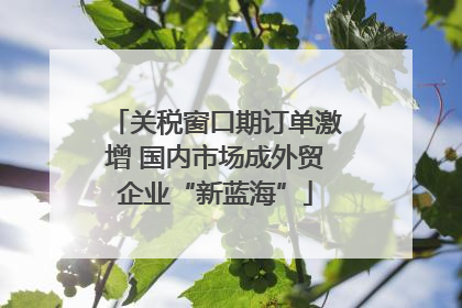 关税窗口期订单激增 国内市场成外贸企业“新蓝海”