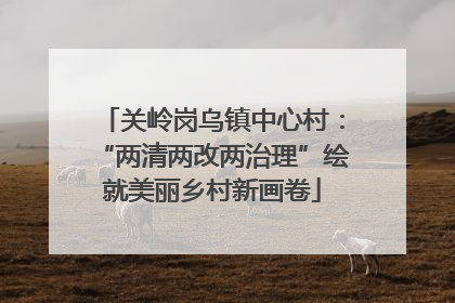 关岭岗乌镇中心村：“两清两改两治理”绘就美丽乡村新画卷