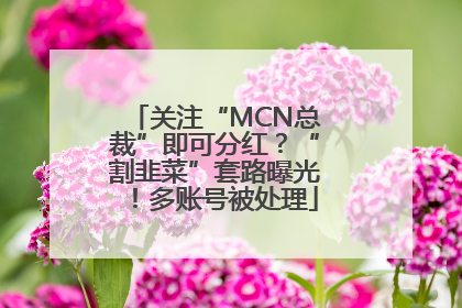关注“MCN总裁”即可分红？“割韭菜”套路曝光！多账号被处理