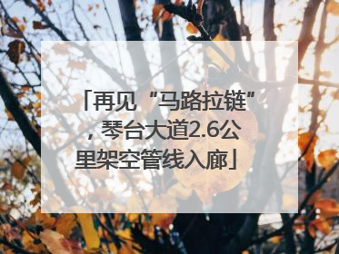 再见“马路拉链”，琴台大道2.6公里架空管线入廊