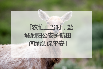 农忙正当时，盐城射阳公安护航田间地头保平安