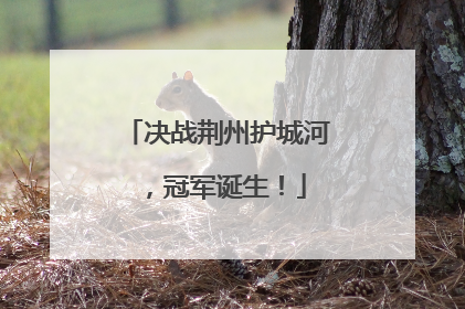 决战荆州护城河，冠军诞生！