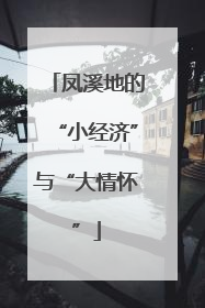 凤溪地的“小经济”与“大情怀”