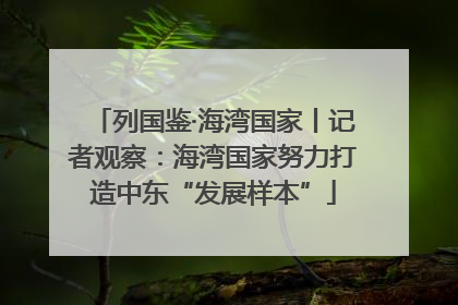 列国鉴·海湾国家丨记者观察：海湾国家努力打造中东“发展样本”