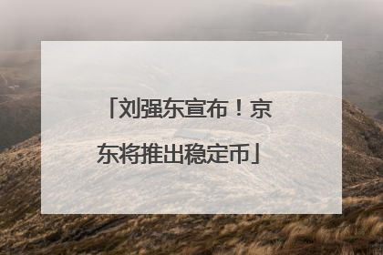 刘强东宣布！京东将推出稳定币