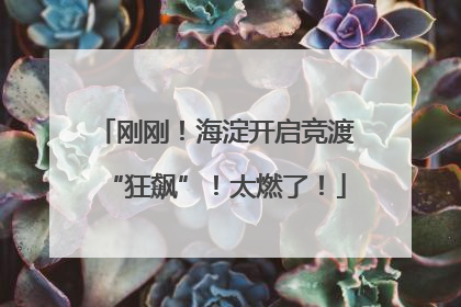 刚刚！海淀开启竞渡“狂飙”！太燃了！
