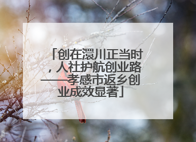 创在澴川正当时，人社护航创业路——孝感市返乡创业成效显著