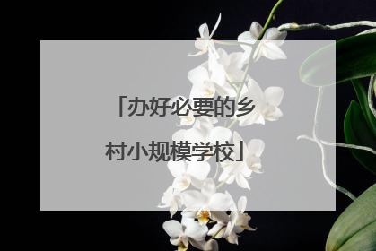 办好必要的乡村小规模学校