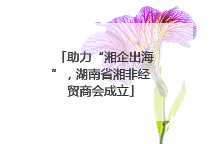 助力“湘企出海”，湖南省湘非经贸商会成立