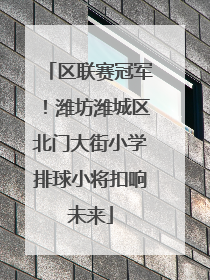 区联赛冠军！潍坊潍城区北门大街小学排球小将扣响未来