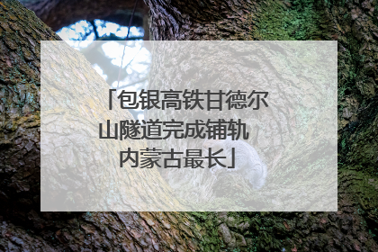 包银高铁甘德尔山隧道完成铺轨 内蒙古最长