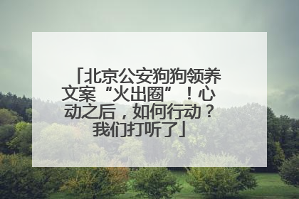 北京公安狗狗领养文案“火出圈”！心动之后，如何行动？我们打听了