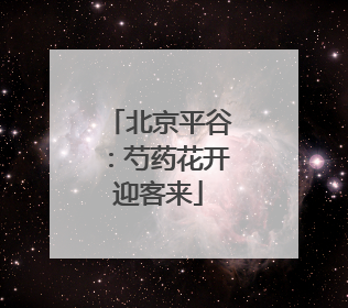 北京平谷：芍药花开迎客来