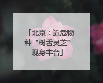 北京：近危物种“树舌灵芝”现身丰台