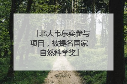 北大韦东奕参与项目，被提名国家自然科学奖