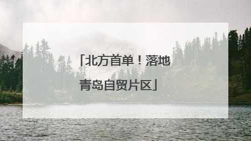 北方首单！落地青岛自贸片区
