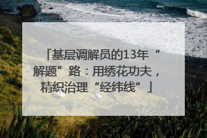 基层调解员的13年“解题”路：用绣花功夫，精织治理“经纬线”