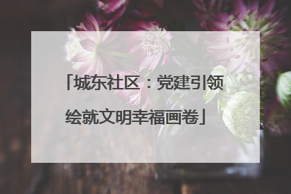 城东社区：党建引领绘就文明幸福画卷