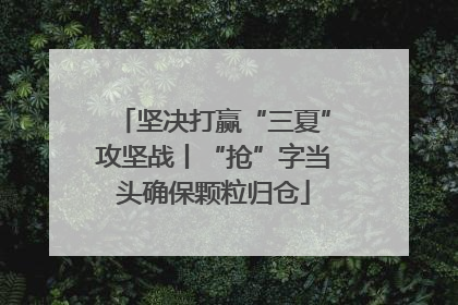 坚决打赢“三夏”攻坚战丨“抢”字当头确保颗粒归仓