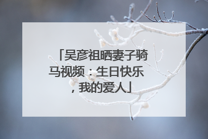 吴彦祖晒妻子骑马视频：生日快乐，我的爱人