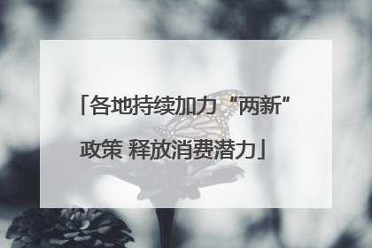 各地持续加力“两新”政策 释放消费潜力