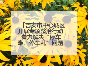 吉安市中心城区开展专项整治行动 着力解决“停车难、停车乱”问题（图）
