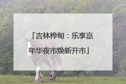 吉林桦甸：乐享嘉年华夜市焕新开市
