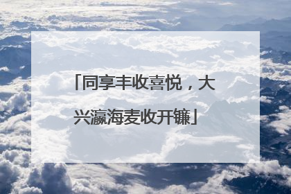 同享丰收喜悦，大兴瀛海麦收开镰