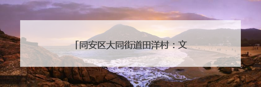 同安区大同街道田洋村：文旅出圈 网红村探索长红路