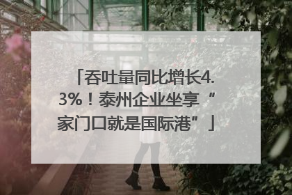 吞吐量同比增长4.3%！泰州企业坐享“家门口就是国际港”