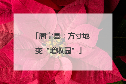 周宁县：方寸地变“增收园”