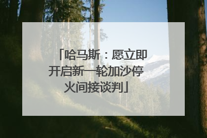 哈马斯：愿立即开启新一轮加沙停火间接谈判