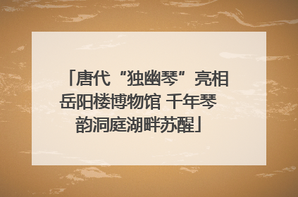唐代“独幽琴”亮相岳阳楼博物馆 千年琴韵洞庭湖畔苏醒