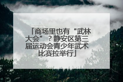 商场里也有“武林大会”？静安区第三届运动会青少年武术比赛拉举行