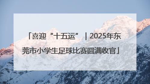 喜迎“十五运”｜2025年东莞市小学生足球比赛圆满收官