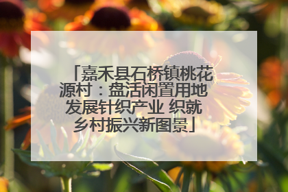 嘉禾县石桥镇桃花源村：盘活闲置用地发展针织产业 织就乡村振兴新图景