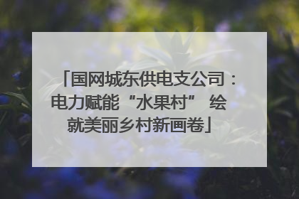 国网城东供电支公司：电力赋能“水果村” 绘就美丽乡村新画卷
