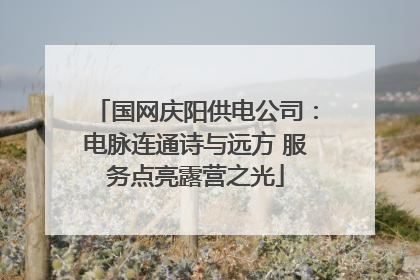 国网庆阳供电公司：电脉连通诗与远方 服务点亮露营之光