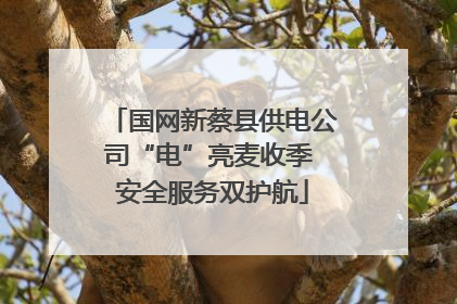 国网新蔡县供电公司“电”亮麦收季 安全服务双护航