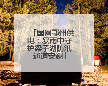 国网鄂州供电：暴雨中守护梁子湖防汛通道安澜