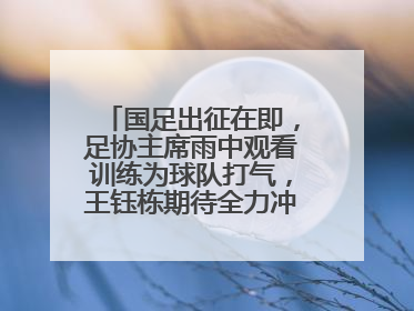 国足出征在即，足协主席雨中观看训练为球队打气，王钰栋期待全力冲击印尼队