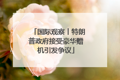 国际观察丨特朗普政府接受豪华赠机引发争议
